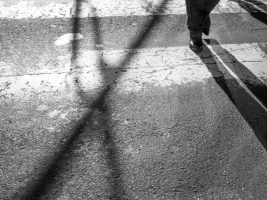Legs and Shadows #63782
