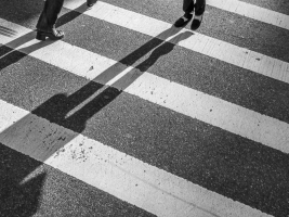 Legs and Shadows #60516