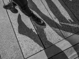 Legs and Shadows #26994