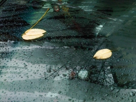 Precipitation-on-Cars-03