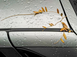 Precipitation-on-Cars-15