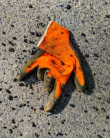 Shoes-and-Gloves-11