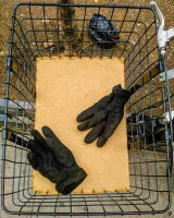 Shoes-and-Gloves-12