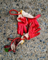 Shoes-and-Gloves-14